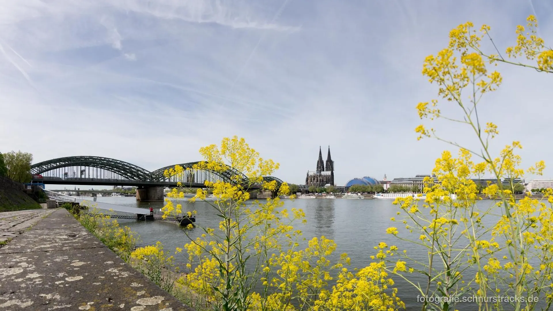 Cityperle - Ruhige Apartments Naehe Dom & Altstadt - Cologne